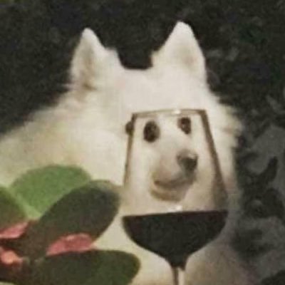 わんわん動物園