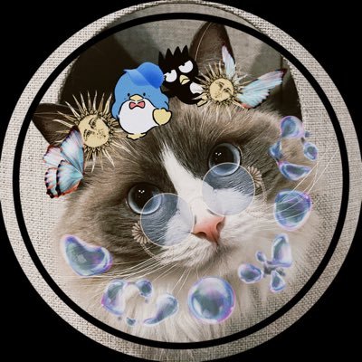 sacco🐬🐧🫧🐺