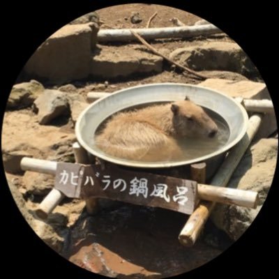 そらこ