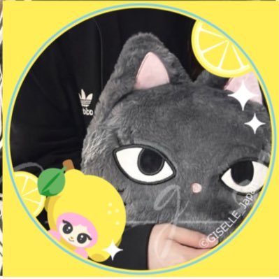 たん🌙