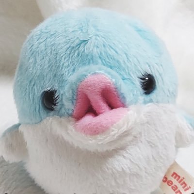 カナメ