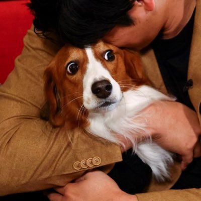 生まれ変わるならデコピン