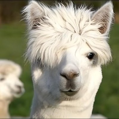 あつまる🎀🧡