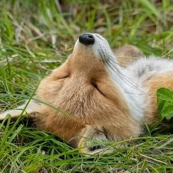 白銀(しろがね)