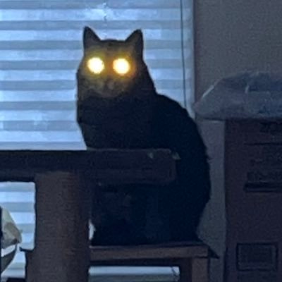 非現実