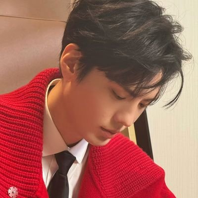 Risma bucin Pei Chuan 🦈