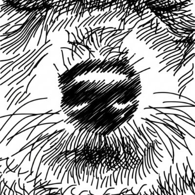 むーじっくナイト