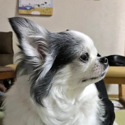 いっちー