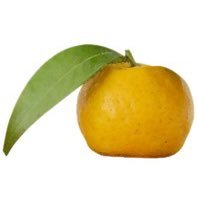 夏目