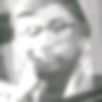 ニセアカシアの林