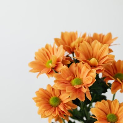 こぱん