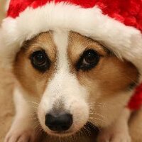 𝔸𝕝𝕞𝕠𝕤𝕥 ℂ𝕝𝕠𝕠𝕟𝕖𝕪