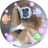 い-あ(修行僧)ㅣAiA