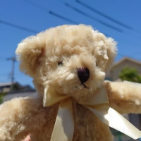 さそう (･㉨･)