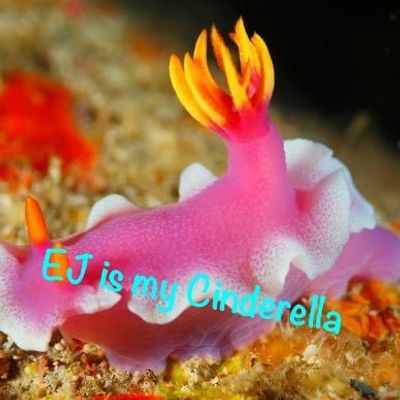 airin9_🐈‍⬛🌙oyoyo