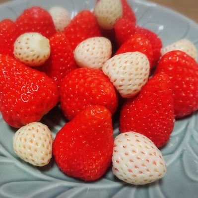 いちごの人