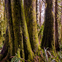 リモートフリーランス日記