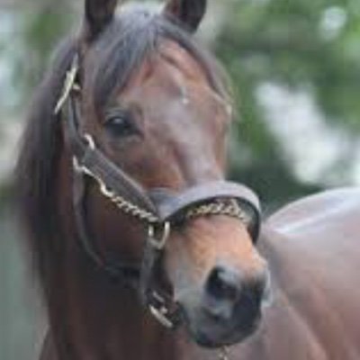 馬人all the people