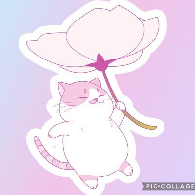 on⛸️🐱🍱
