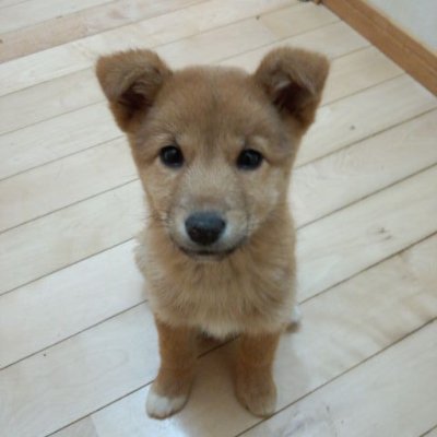 過去に生きるもの