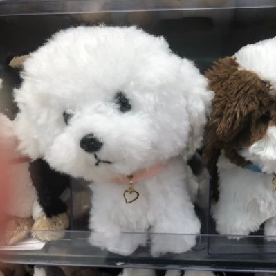 いぬ🐶梱包方法は固定ツイ記載