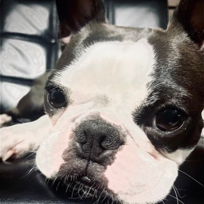 あんちゃんパパ