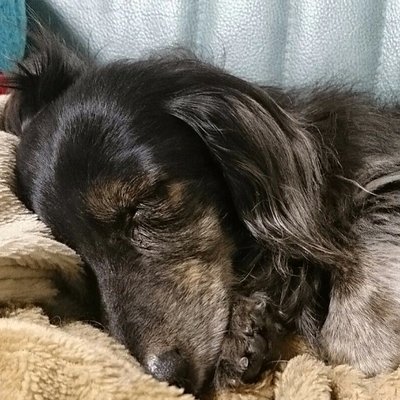 #アンダはゲロカス