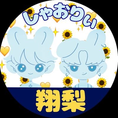 しゃおりぃ🩷ᩚ 翔梨