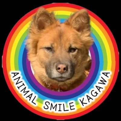 🐶NPO法人アニマルスマイル香川🐱
