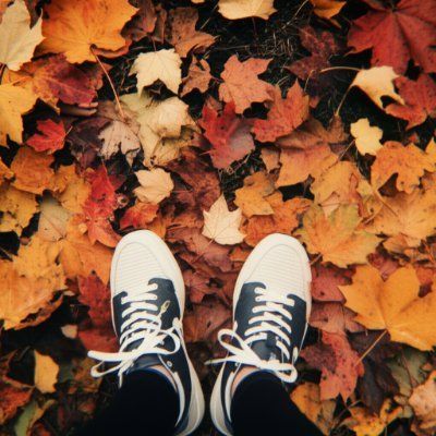 地球は人間だけのものじゃない