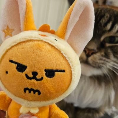 お金使うな𝕤𝕦𝕟𝕟𝕪