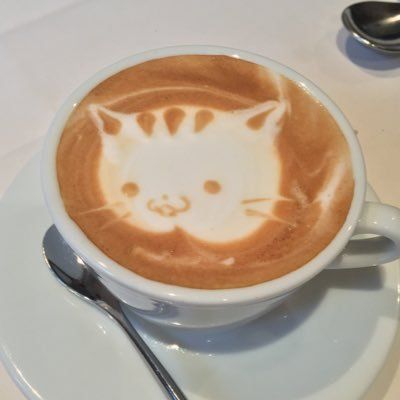 あにゃ🐈‍⬛아냐