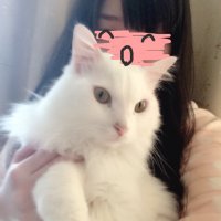 あ－にゃ（あせだく）