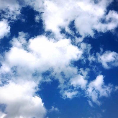 🐬🐬ao_118🐬🐬 🐢🏝ちょっと忙しくて低浮上