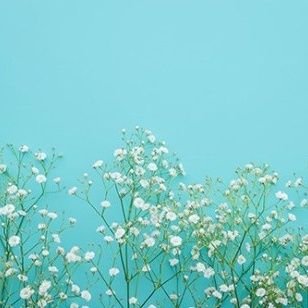 とみとみ【ックラ命名🌸】