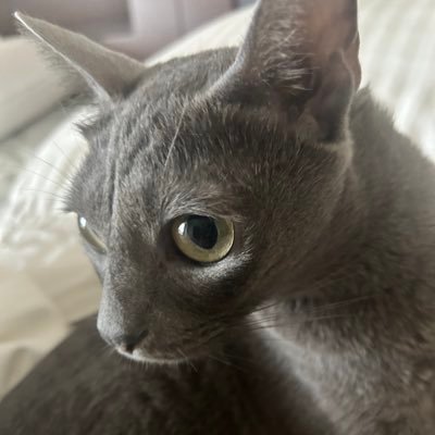 𝐚𝐨𝐢🐈‍⬛...