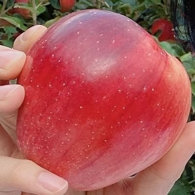 りんご🍎