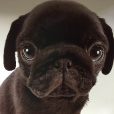 うっちー@🐴🎤