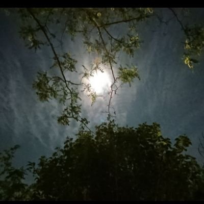 七枷 秋水