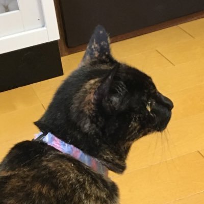 粟田手延べそうめん