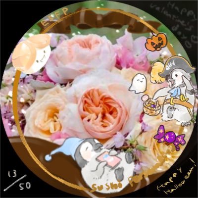 aya🌟英会話スクール講師🌸🎁💐