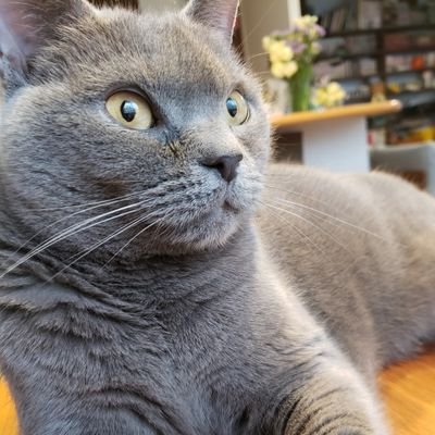 あやぷ®10y+4y☺︎