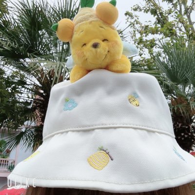 あずき(*´˘`*)♡