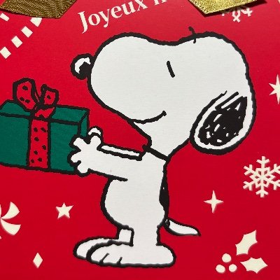 つきみ🌙ゆる投資🔰