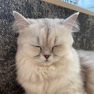 ばななおれ☺︎1y