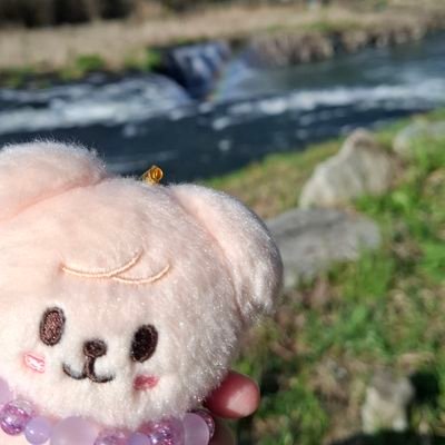 ベベ。