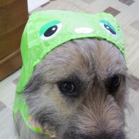 ベッキン @bekkin33