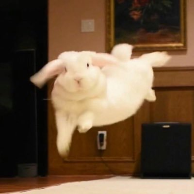 ( ˙⌓˙ )( ˙⌓˙ )