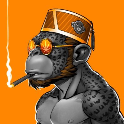 Bhang Buddy's profile