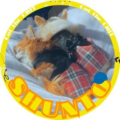 シャーロット🧢🐨リンリン